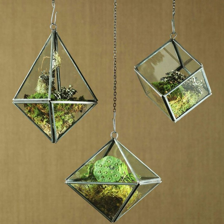 http://www.dotandbo.com/collections/weekender-desert-oasis/plant-and-grow-geometric-ceiling-terrarium-cube?source=Pinterest&medium=strlk&campaign=pinid_00303&lb=force