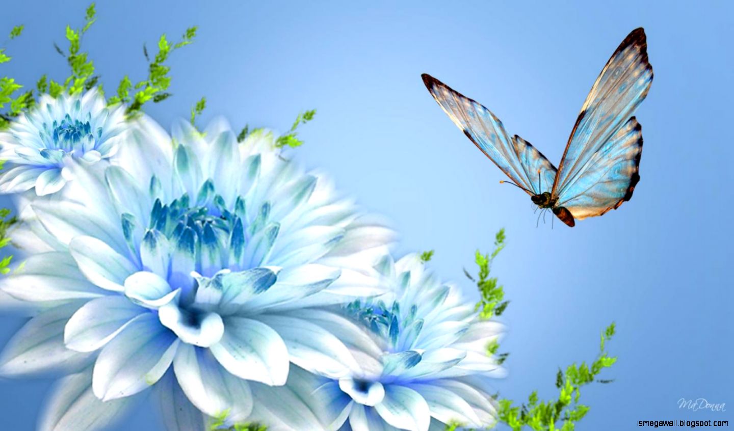 Wallpaper Pictures Of Flowers And Butterflies
