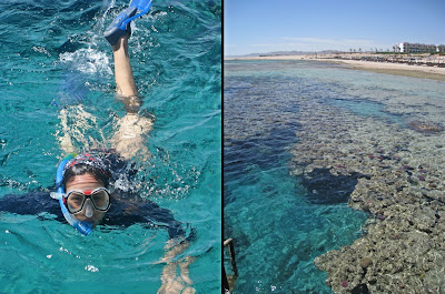 Snorkelling al Fantazia Resort Marsa Alam 2013 rebeccatrex