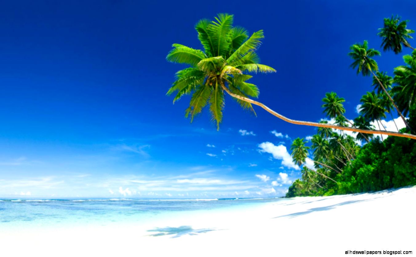 Beautiful Tropical Beach Beautiful Tropical Beach