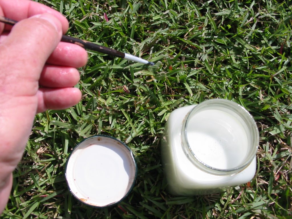 Torpedo Grass Control Torpedo Grass Control