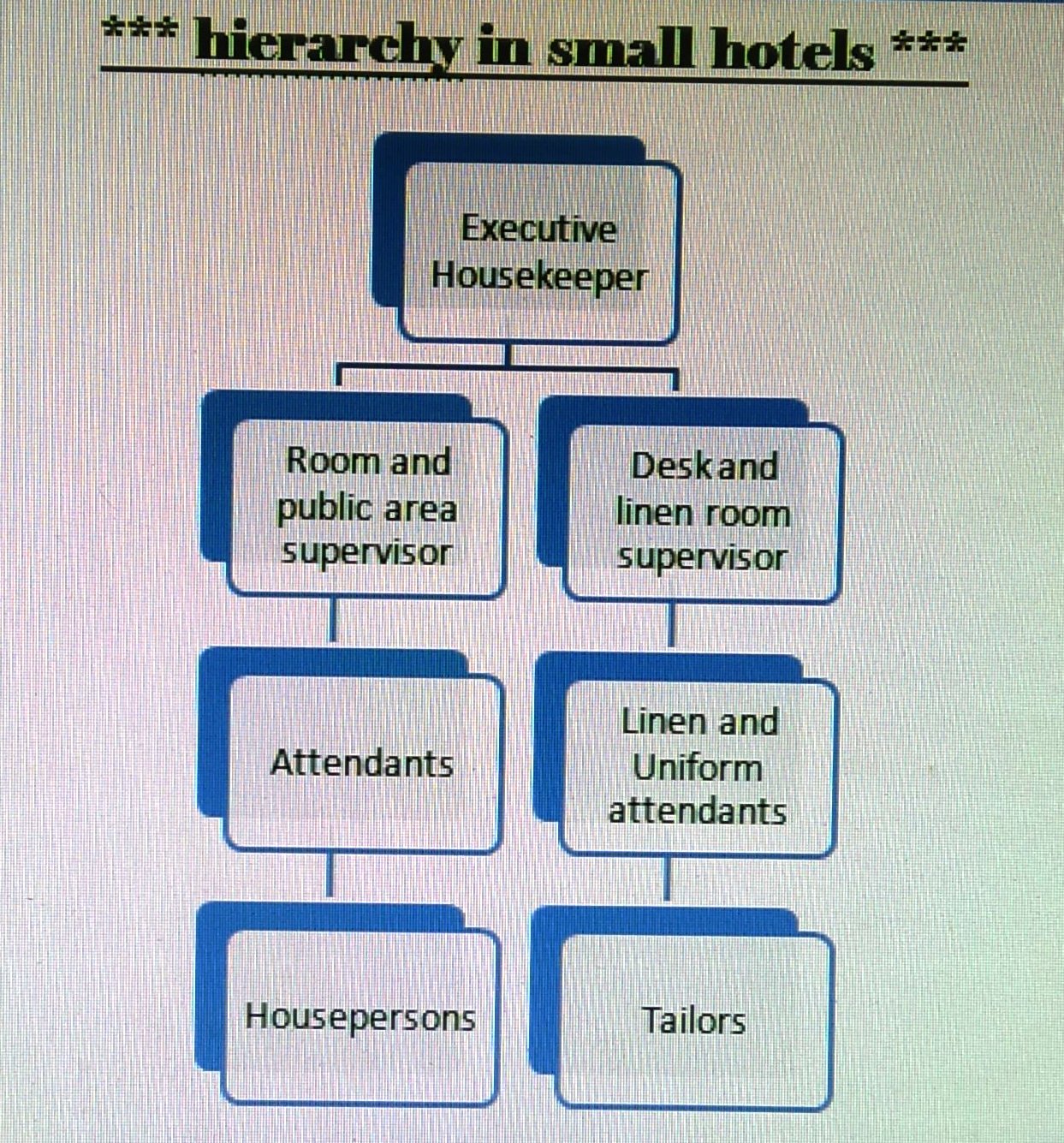 Housekeeping Organizational Chart In Small Hotel