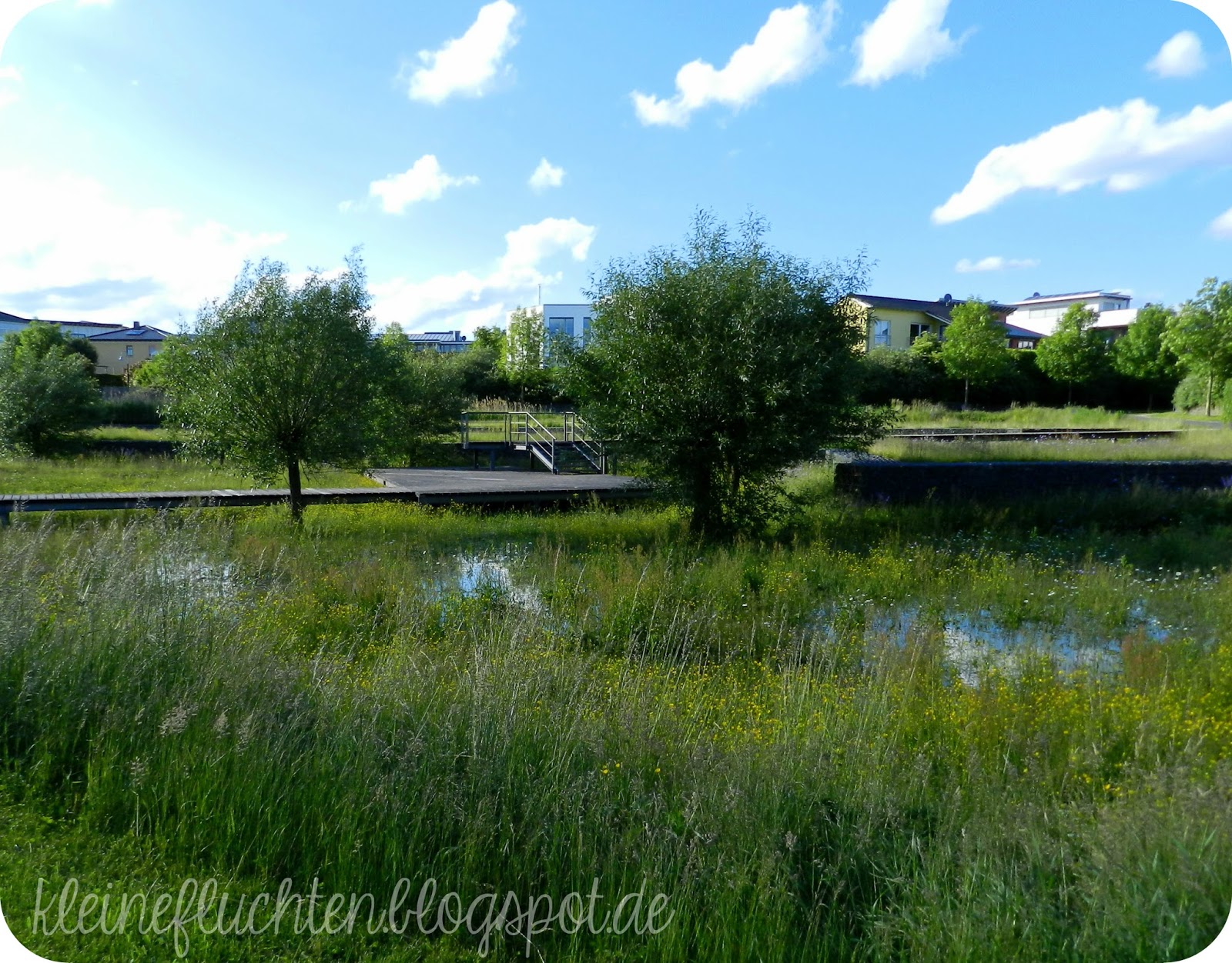 Life Of The Allen Family Kings Island And The Smokies