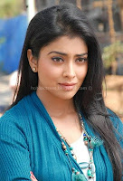 Shriya, saran, in, nuvva, nena, movie