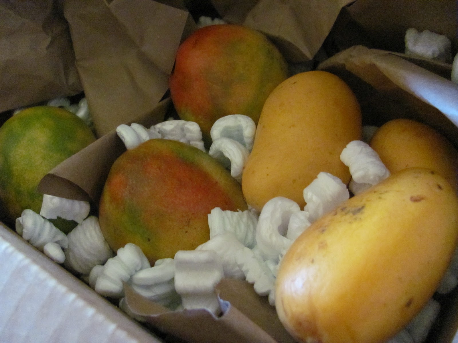 Hot Curries & Cold Beer Traveling with Mangoes Across Time & Cultures