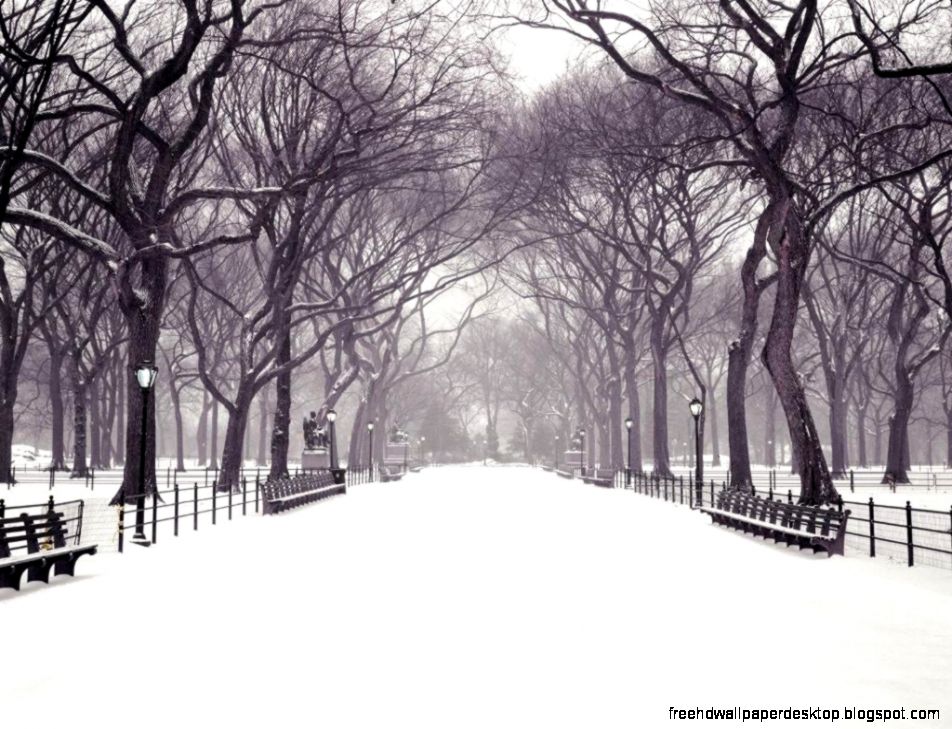 Winter in new york city wallpaper Wallpaper Wide HD Winter in new york city wallpaper Wallpaper Wide HD