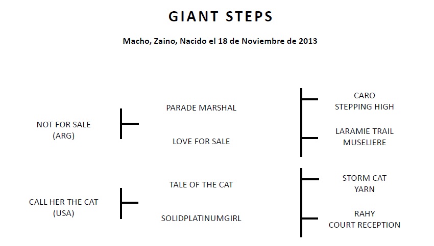 HS EL CORAJE - GIANT STEPS 1