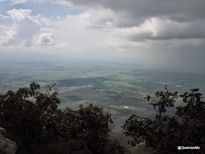 Valle de Ameca desde la cima del Cerro Huicicil