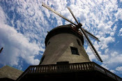 The Bevo Mill Neighborhood