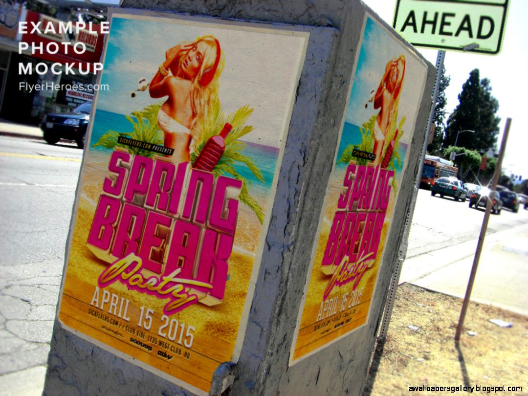 Real Estate Flyer Template Real Estate Flyer Template