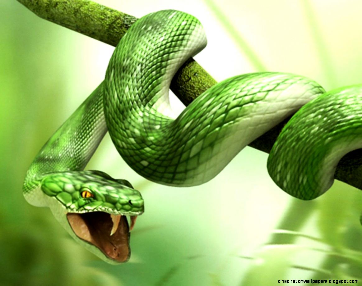 3D Animal Snake 3D Animal Snake