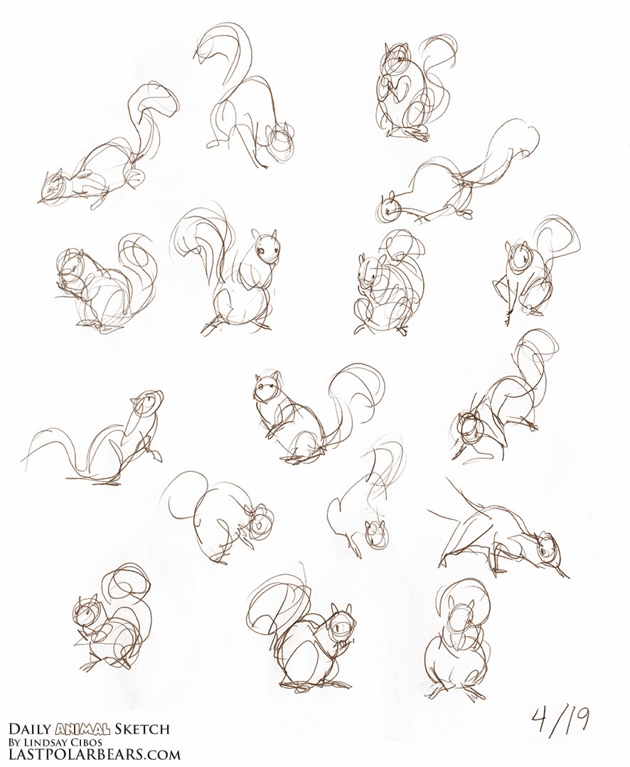Lindsay Cibos' Art Blog Daily Animal Sketch Squirrels in Motion