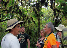 Scalesia Forest