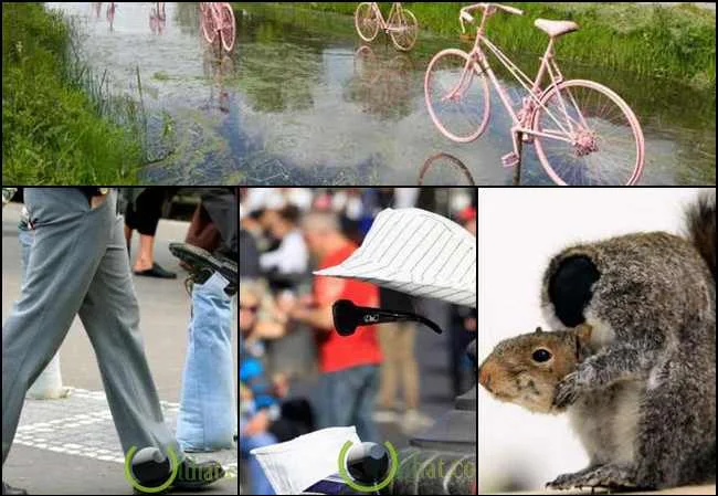 Freak Arti karya seni unik dengan warna cerah dan bentuk aneh