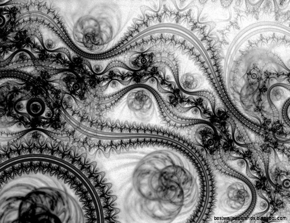 Black Lace Wallpaper Wallpapers HD Fine Black Lace Wallpaper Wallpapers HD Fine