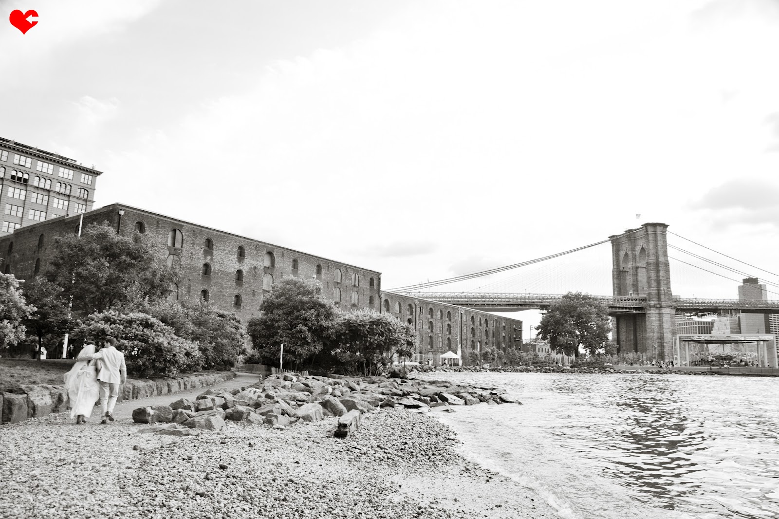 NYC Photo Blog beIMAGED Photography beBLOGGED rebar brooklyn ny