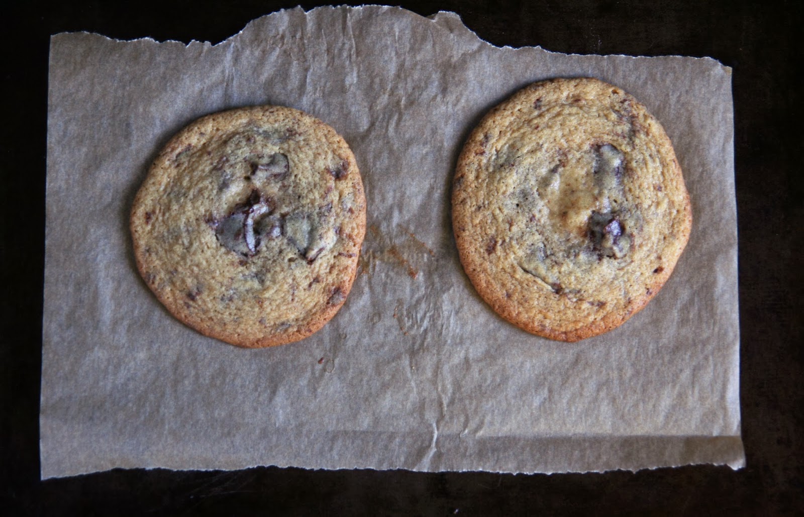 Two Chocolate Chip Cookies Recipe | mostly foodstuffs