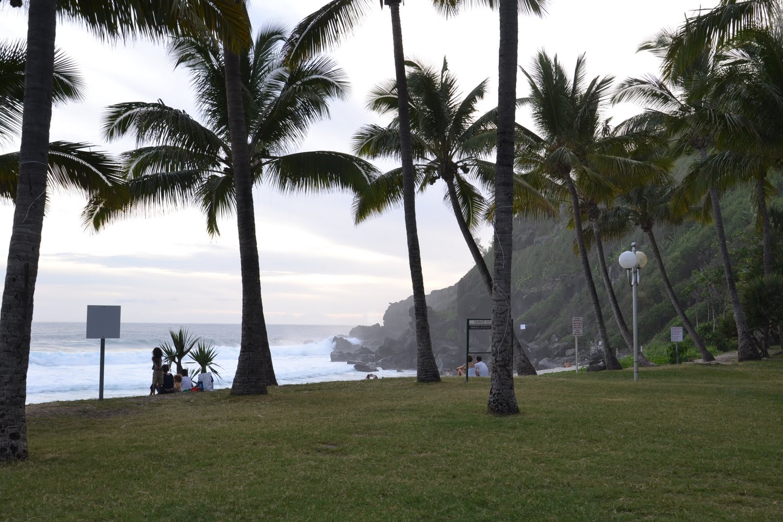 Jojo et Lolo à La Réunion Barbecue Grande Anse