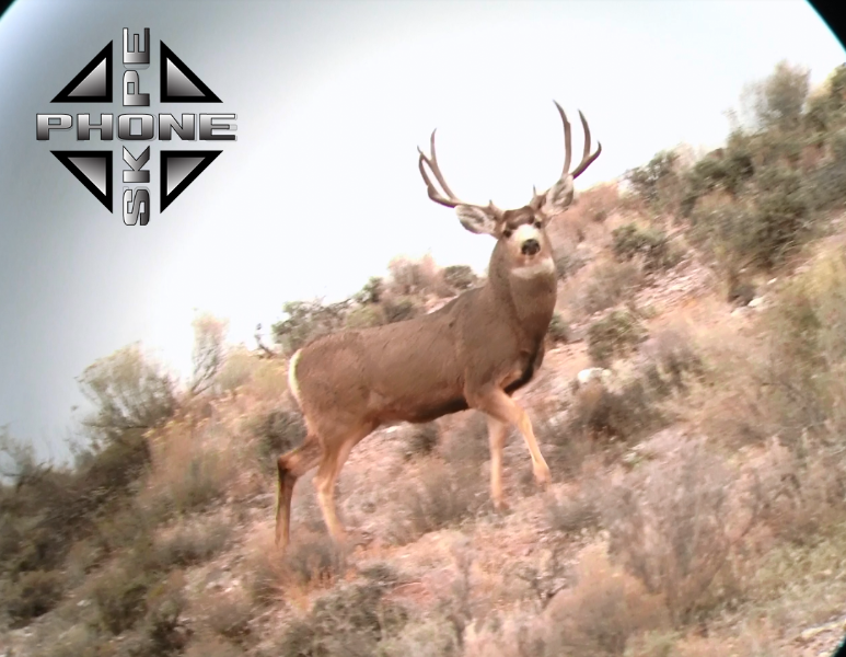 Blog Phone Skope review