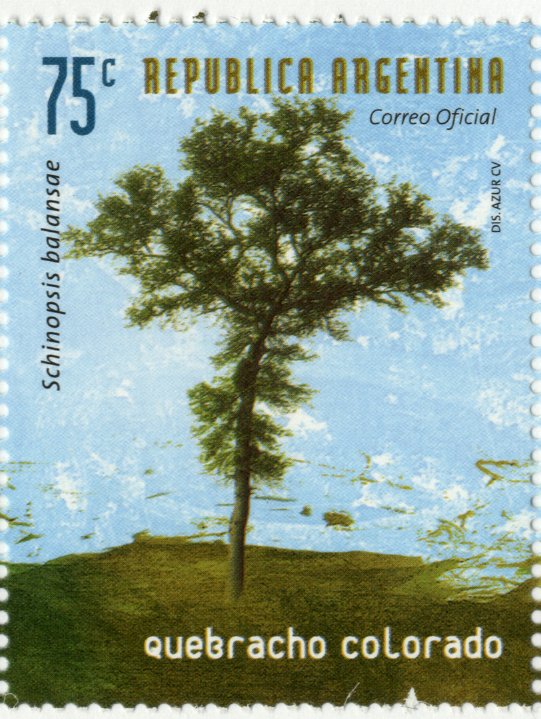 Meloni Yo Soy Una Mujer Management And Leadership