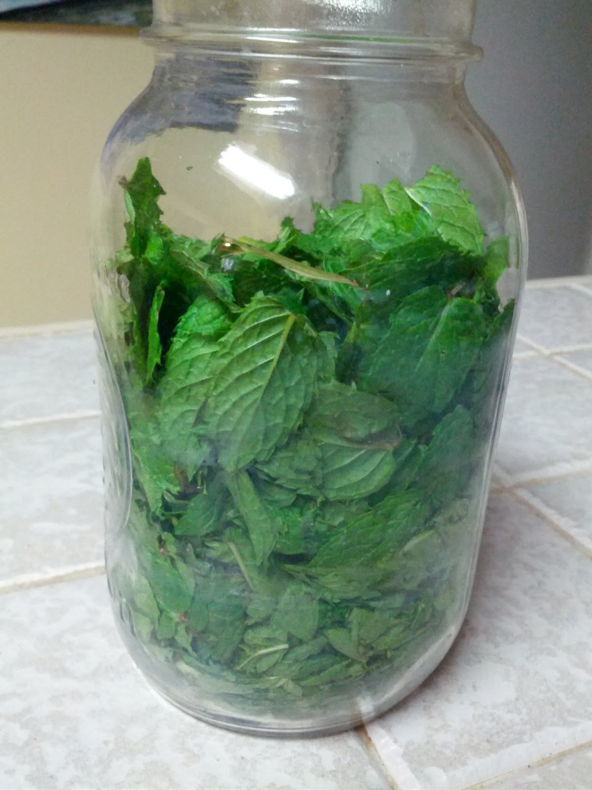 DIY Mint Extract