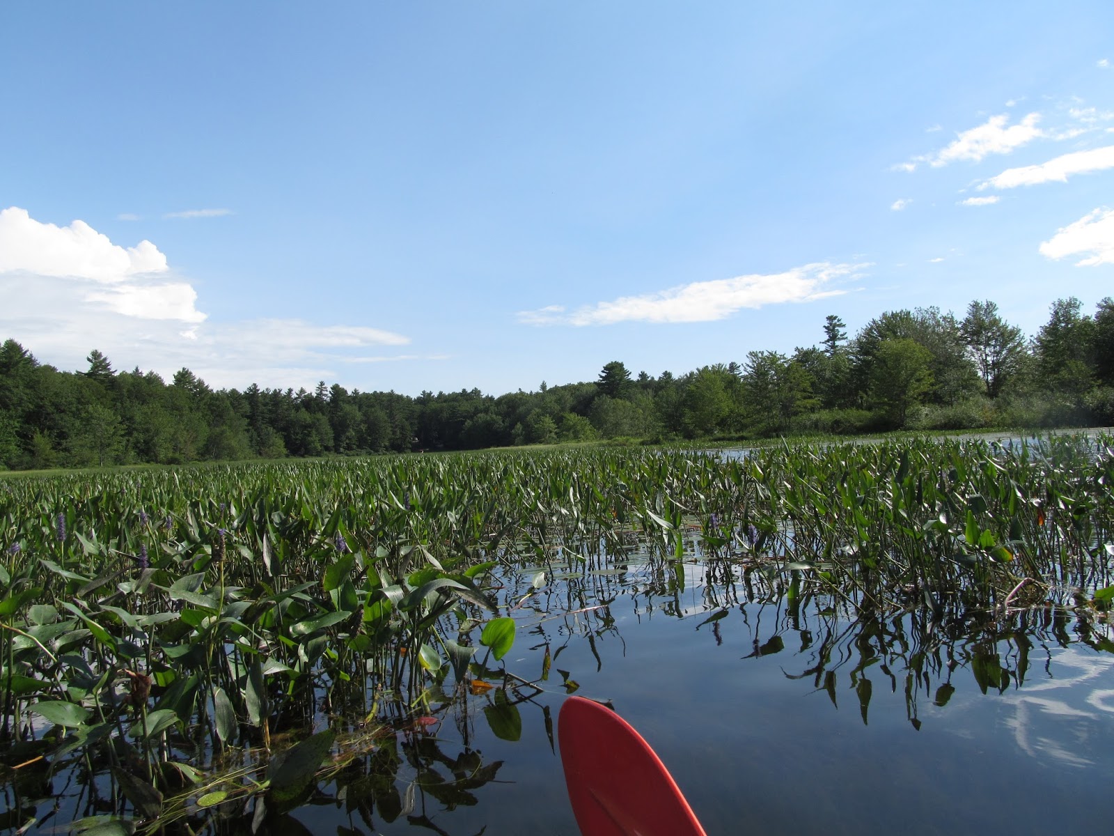 Recreational Kayaking in Maine Highland Lake Falmouth/Windham, Maine