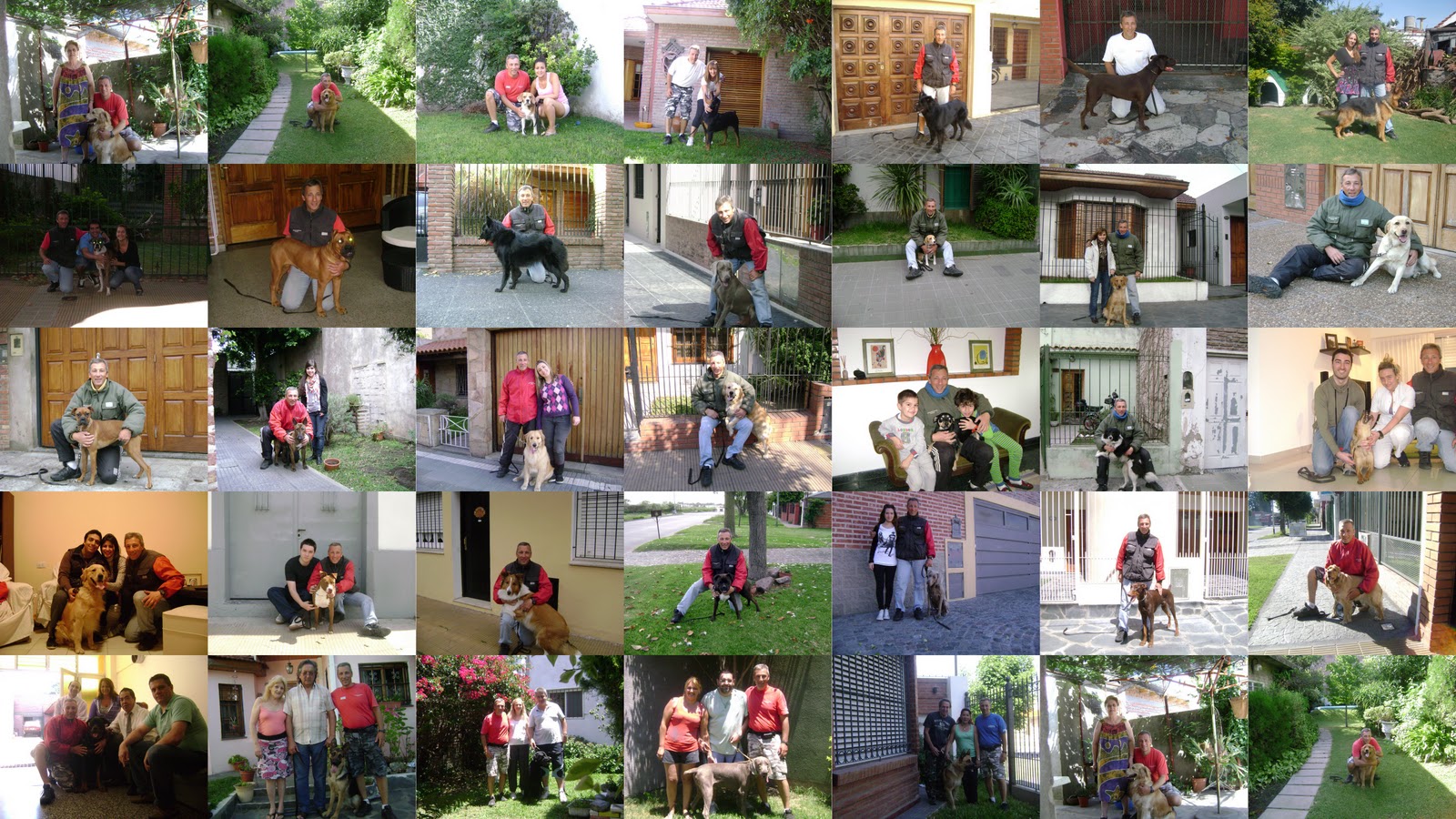EGC Adiestramiento Canino: Collage de Imágenes