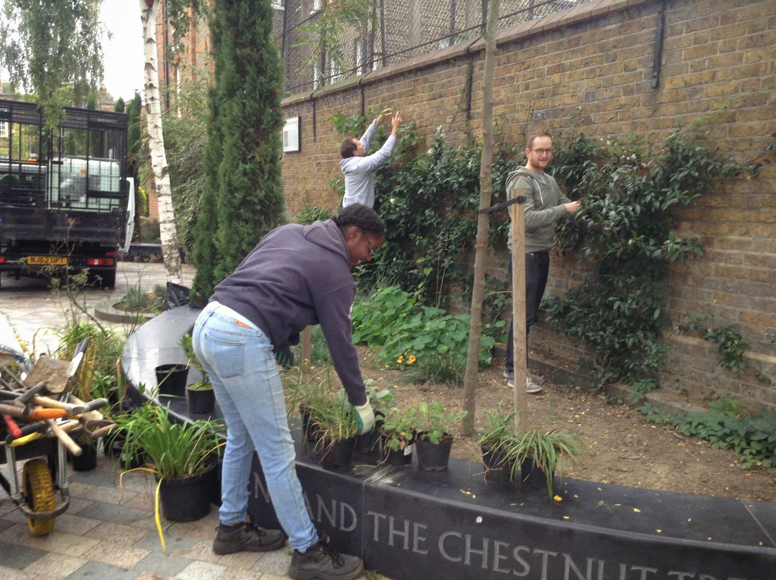 Field Biology In Southeastern Ohio Bush Honeysuckles