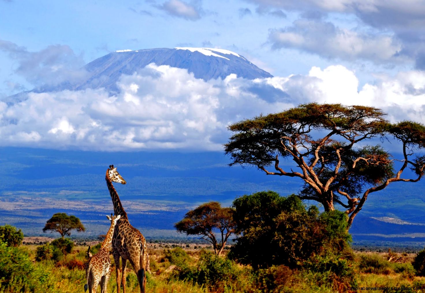 Climb Mountain kilimanjaro Visit Tanzania National Parks Climb Mountain kilimanjaro Visit Tanzania National Parks