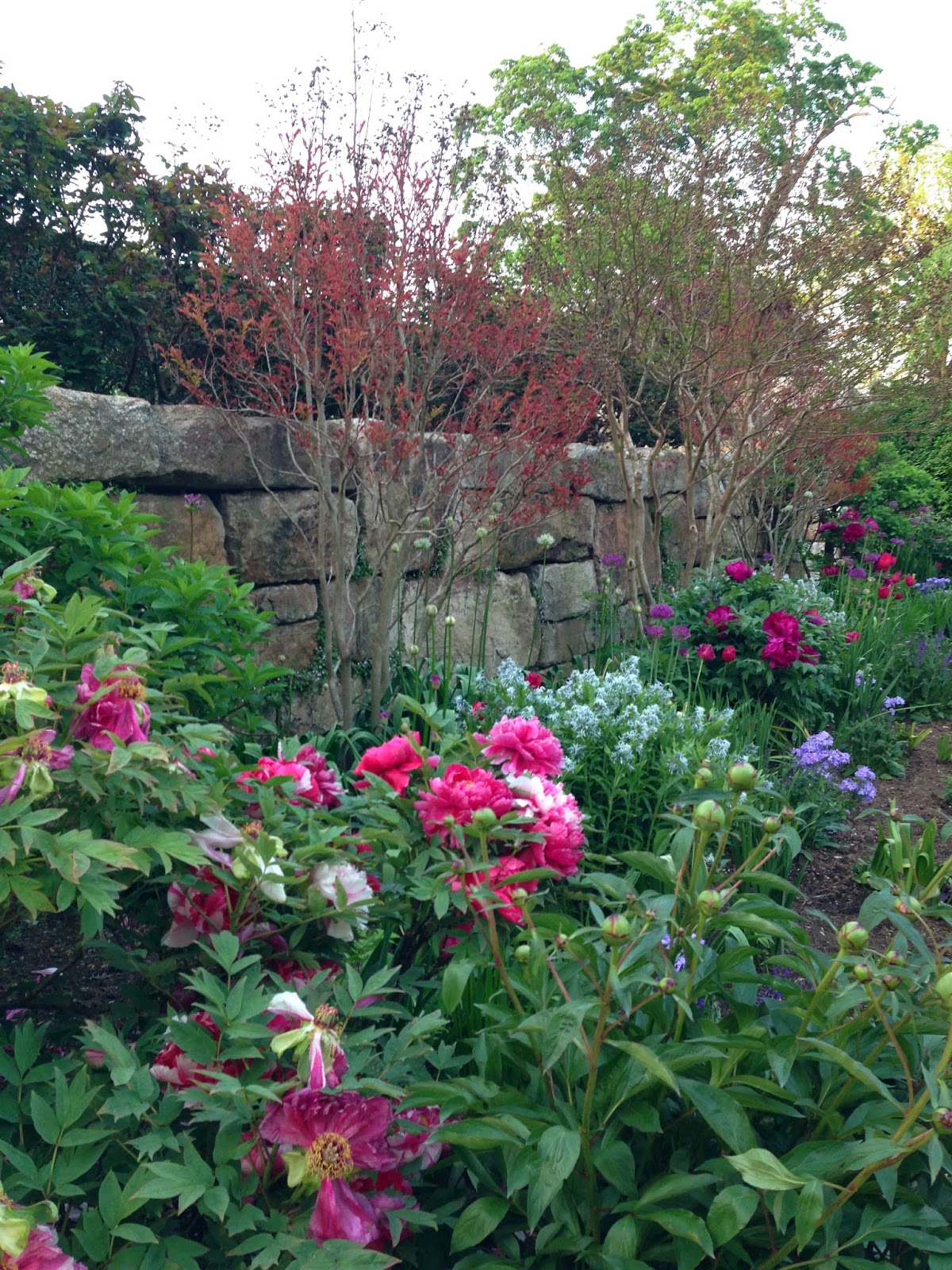 A Snapshot of Bryn Athyn