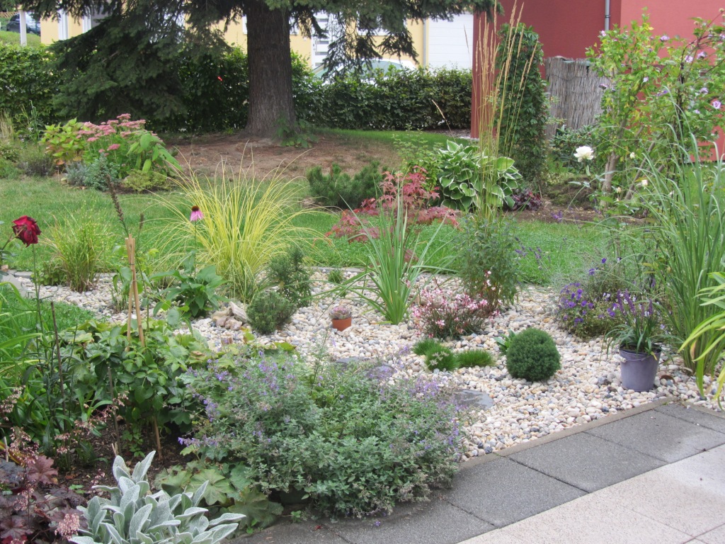 Projekt Kiesbeet Bergblumengarten