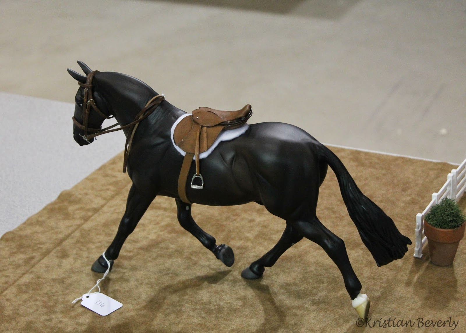 Five Paws Studio PA 4H State Model Horse Show