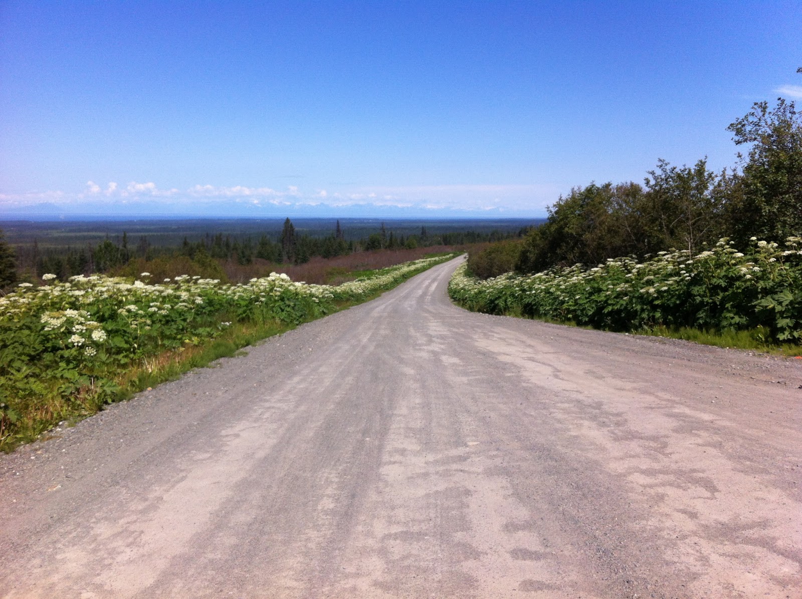 Life in Alaska — A View From Homer Biking the Old Sterling Highway