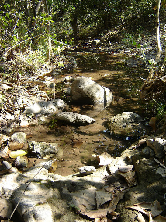 First Flow Of River