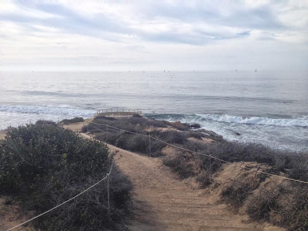 Go Hike It! Crystal Cove State Park Hiking Trail