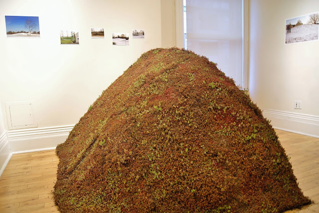 Grow Op 2015 Art and Landscape Exhibition at Gladstone Hotel in Toronto, west queen street, culture, artmatters, exhibit, enviroment, ontario, the purple scarf, earth day, melanie.ps, trees, plants, urban, contemporary, Mounds at Work, Julie Bogdanwicz,septic