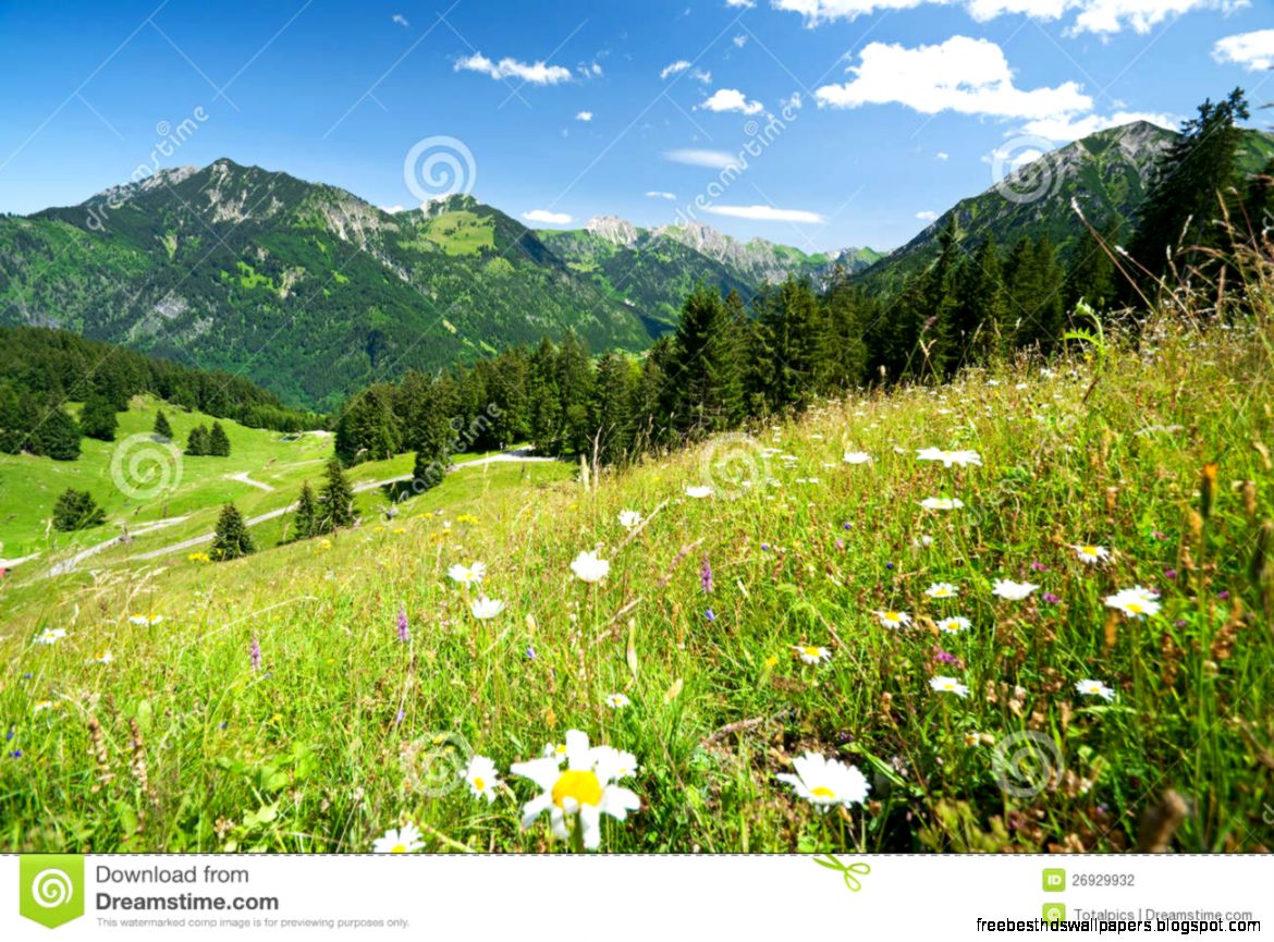 Alpine Meadow In Germany Allgaeu Stock Photography Image 26929932 Alpine Meadow In Germany Allgaeu Stock Photography Image 26929932