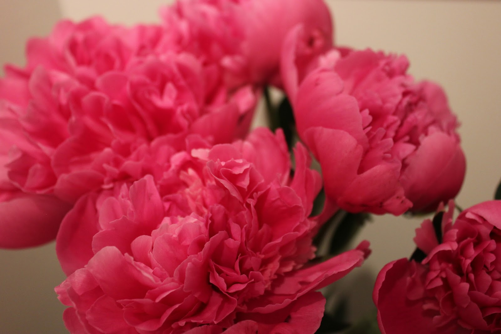 love me simply fresh petals