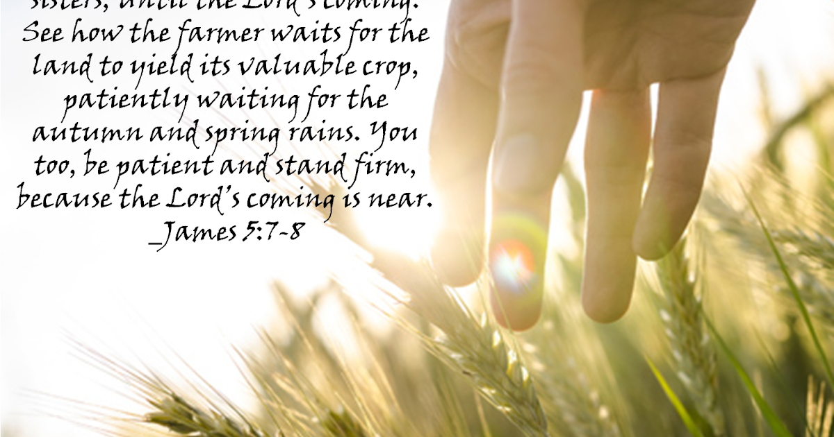 HOW IN THE WORLD!! Patience in the face of suffering (James 5711