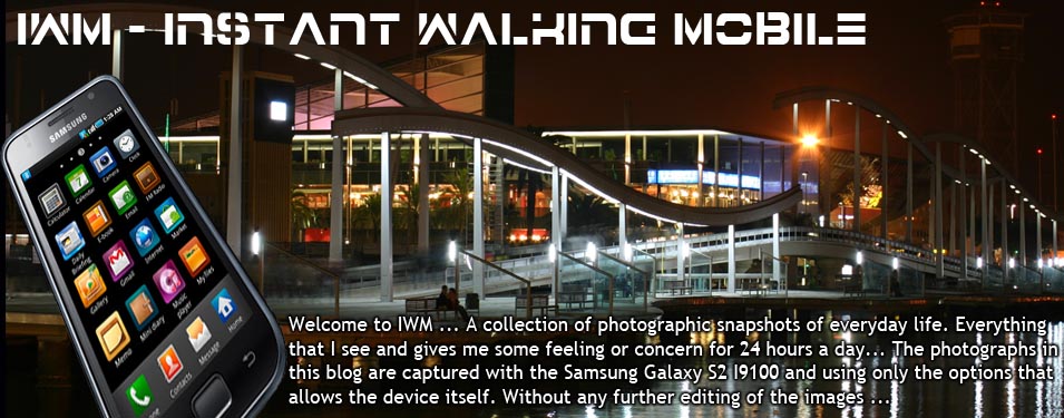 IWM - Instant Walking Mobile