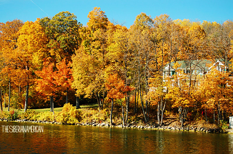 The Siberian American Fall Colors on the Lake Geneva Cruise Line Full
