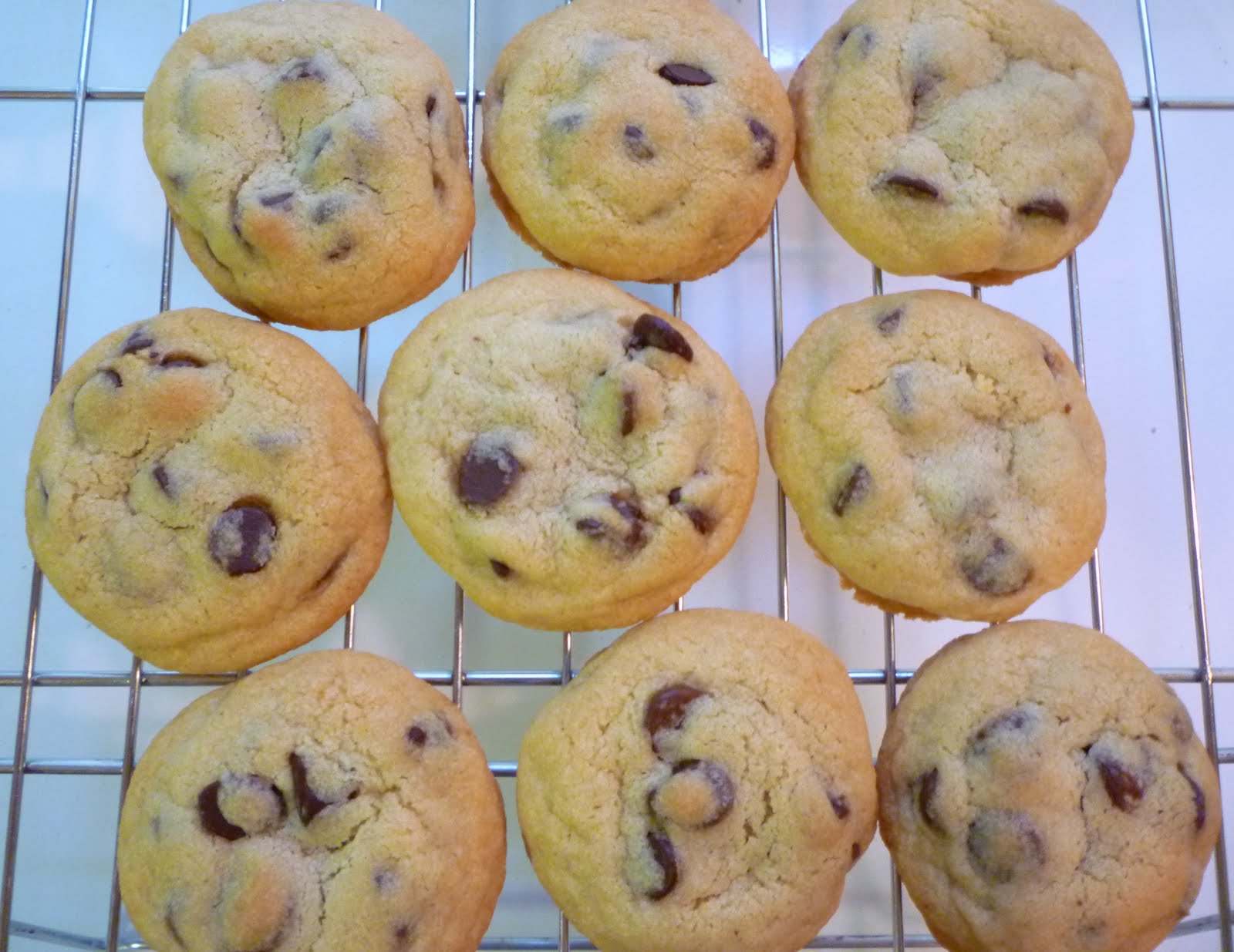 What's Baking in the Chocolate Chip Sandwich Cookies with