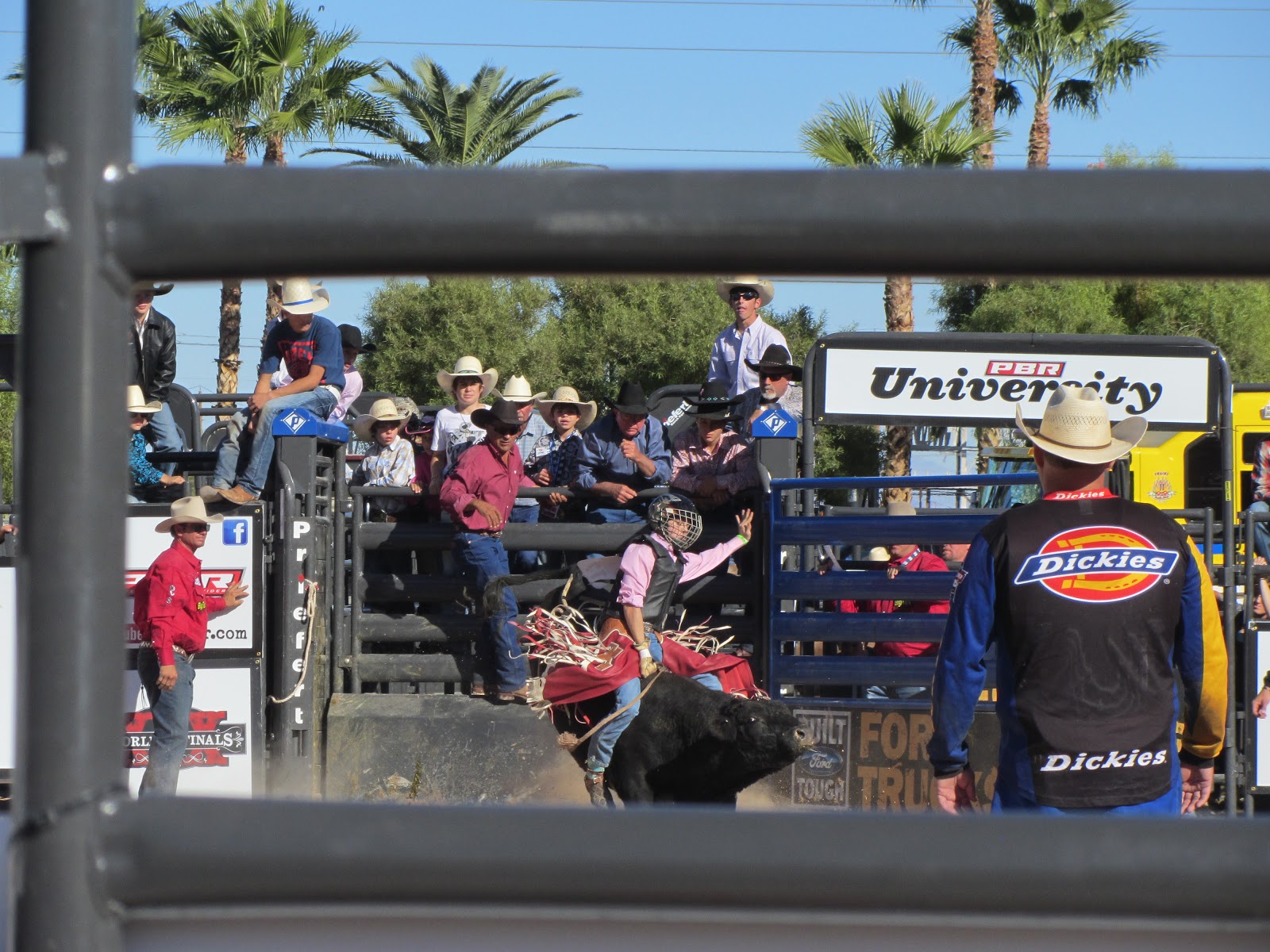 Mini Bull Riding