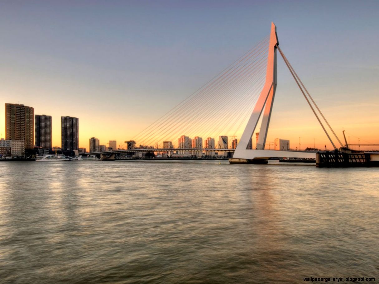 Travel Wallpapers Erasmus Bridge Rotterdam Netherlands Wallpaper Travel Wallpapers Erasmus Bridge Rotterdam Netherlands Wallpaper