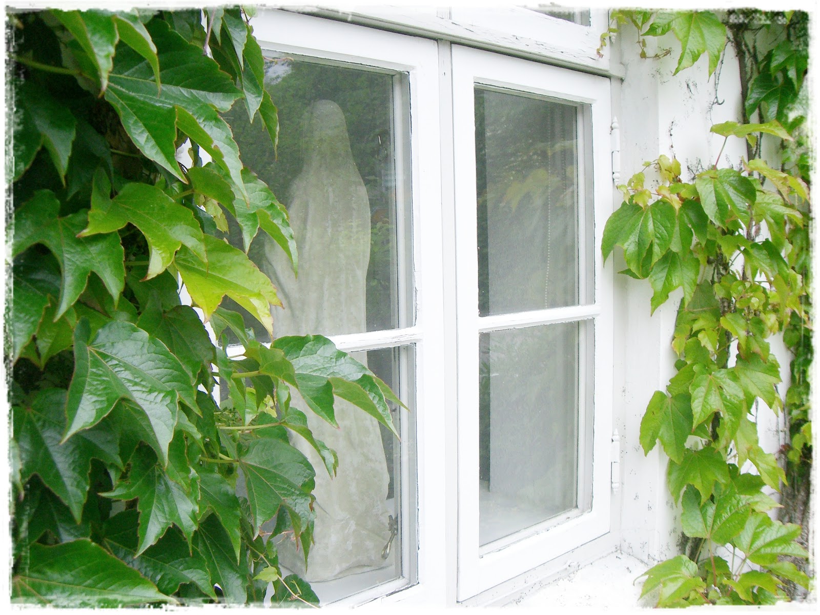 lilleweiss: Juni 2012