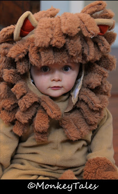 Easy Animal Costumes