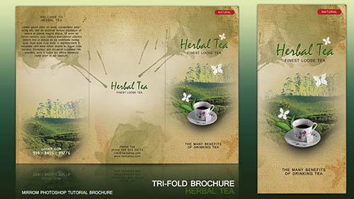 How To Design a Tri Fold Brochure Cover In Photoshop