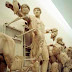 Ληστεία- μουσείο της Ολυμπίας