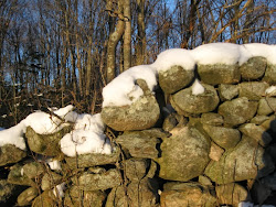 Winter Stones