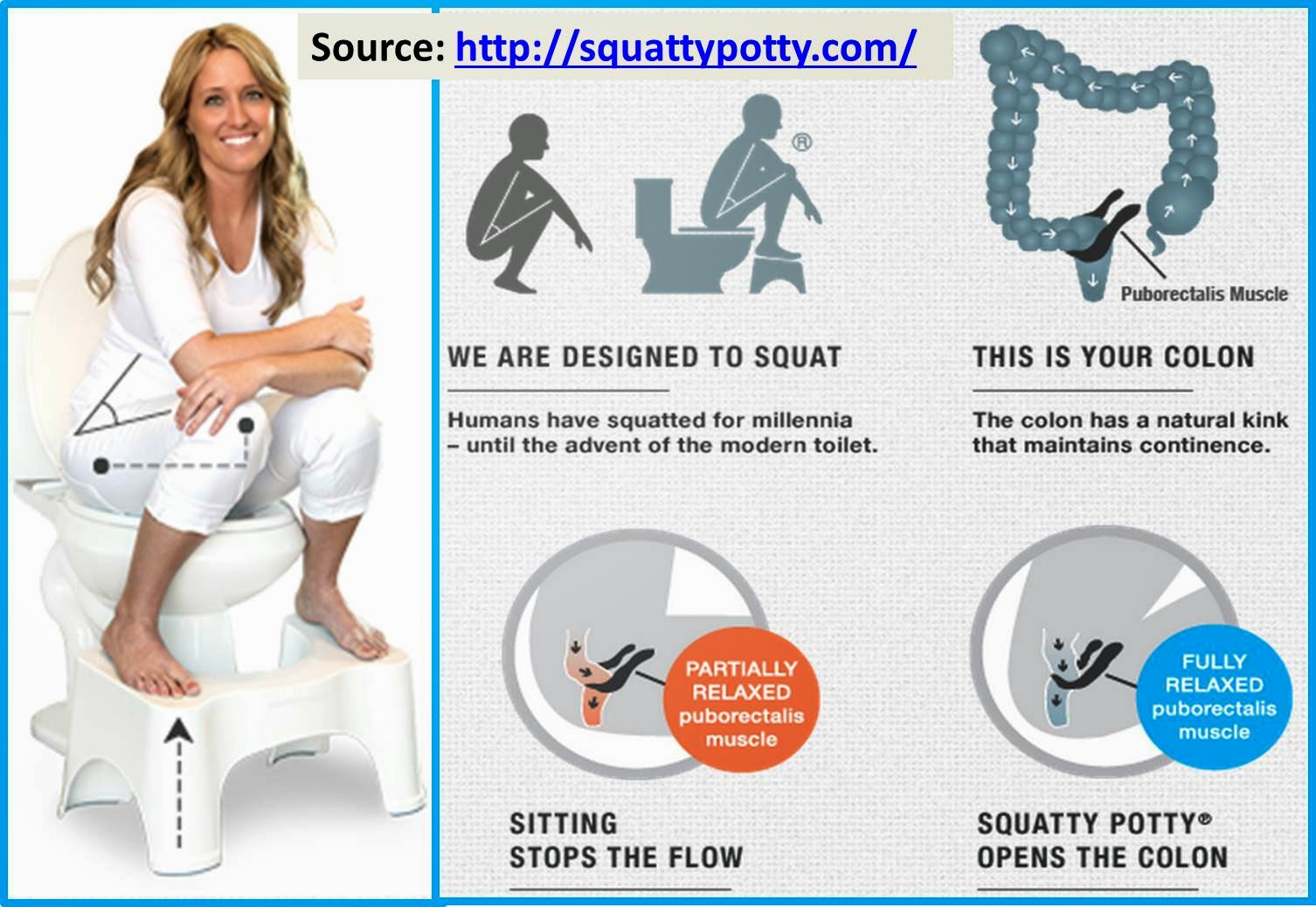 The Virtual Philosophy Club: Squat Toilet (\u0026quot;Squatty Potty\u0026quot; on ...